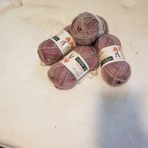 4 Skeins of Payton Yarn